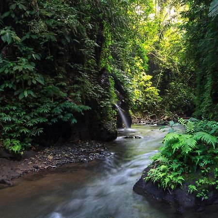 Bali Jungle Resort Теґалаланґ Екстер'єр фото