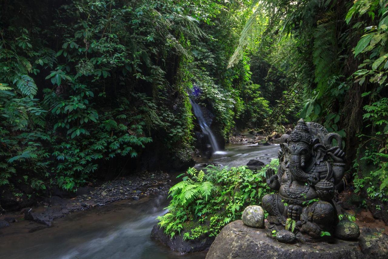 Bali Jungle Resort Теґалаланґ Екстер'єр фото